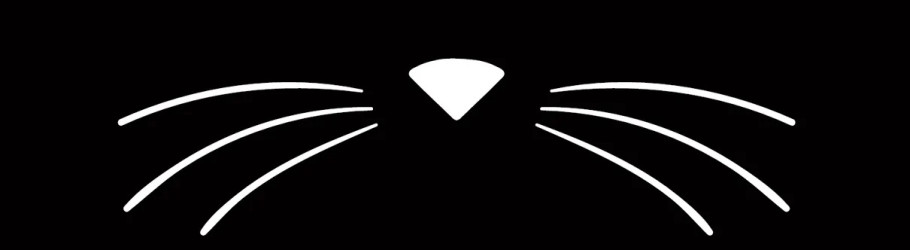 Whiskers