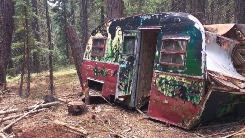 "Shocking Revelation: The Hidden Truth Behind an Unexpected Inheritance"