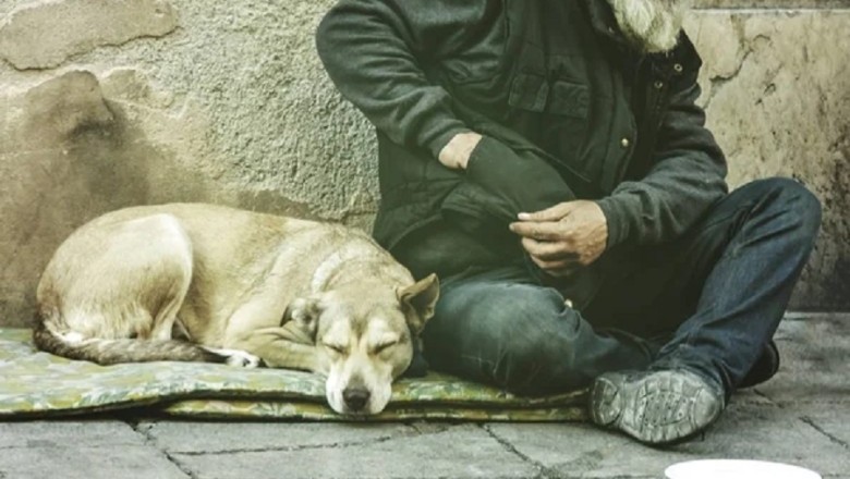 Heartwarming Encounter: Homeless Man's Gift Leads to Unexpected Twist