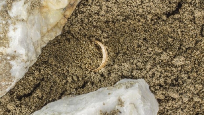 Astonishing Discovery on the Beach: Woman Uncovers Diamond Ring and Jeweller's Shocking Reaction