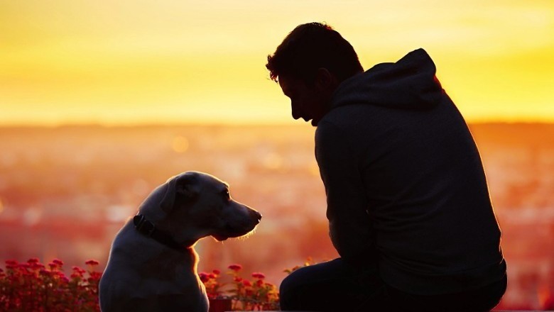 The Incredible Journey of Stacy and Benji: A Heartwarming Tale of Escape, Reunion, and Redemption!