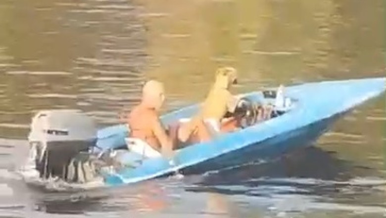 Captain Canine: A Hilarious Adventure of a Dog at the Helm!