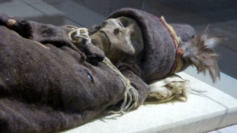 Ancient Tribe Frozen in Time Gets DNA Test That Finally Reveals Their True Identity