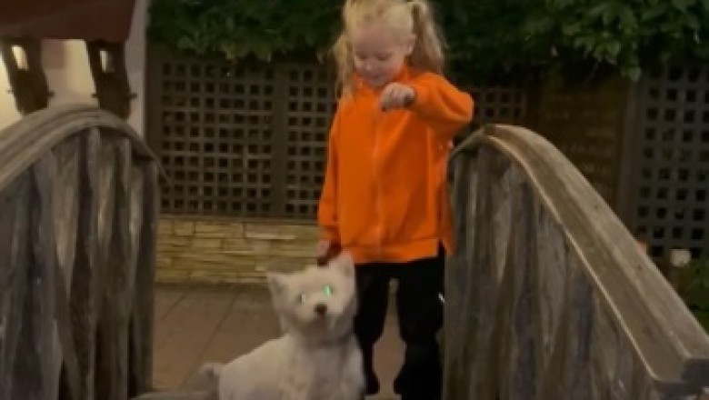 Witness the Adorable Bond Between a Small Girl and Her Furry Best Friend!