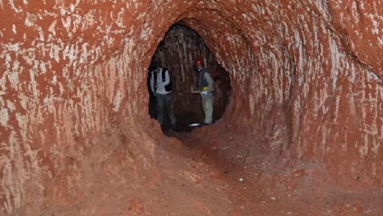 Jungle Secrets Unveiled: Terrifying Tunnels Carved by Ancient Creatures Discovered!