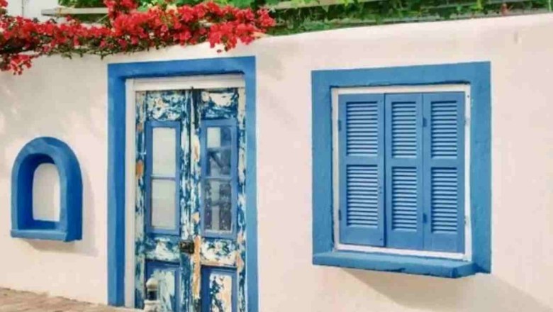 The Camouflaged Cat Challenge: Can You Find the Feline Hidden in Plain Sight?