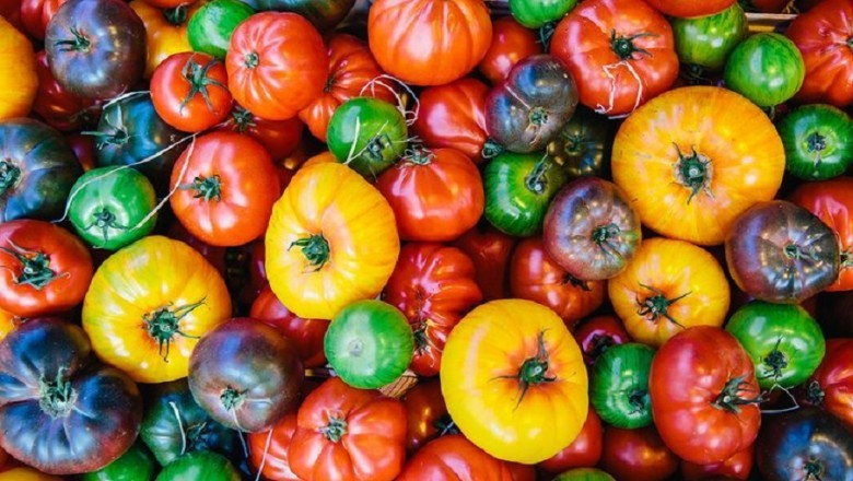 Unveiling the Secrets of the Italian Diet: Why Do Italians Live Longer?