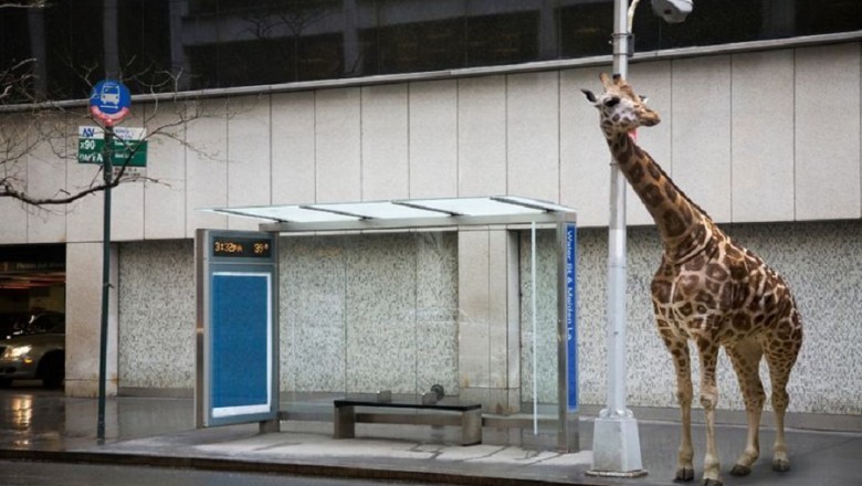 29 Astonishing Ways the World Would Change if Humans Disappeared