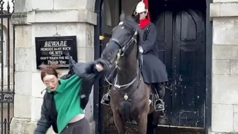 Hilarious Chaos Unleashed: Royal Guard Stallion Photobomb Goes Wild!