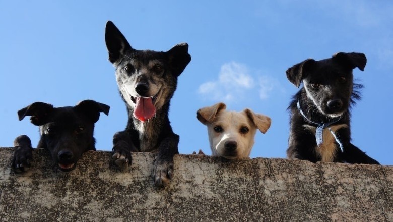 The Power of Positivity: How a Positive Mindset Can Transform Your Life