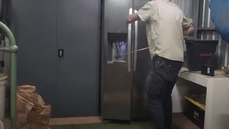 Epic Encounter: Red-Bellied Black Snake Gets Trapped in Australian Fridge!