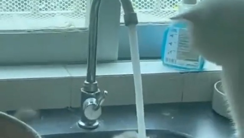 Hilarious Cat Battle Turns into a Surprising Twist: Trapped in the Tap!