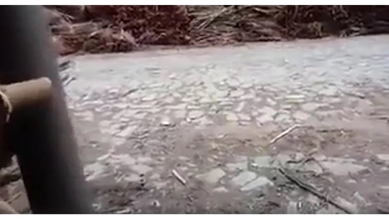 Unbelievable: Man Becomes the Hero Dogs Need, Communicating in Their Own Language!