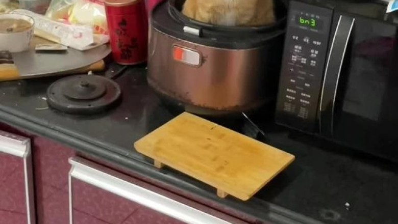 Hot Pursuit: The Hilarious Hide-and-Seek of a Cat in a Heater