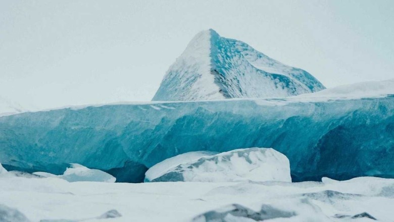 Inspirational Tale of Survival: A Beacon of Hope Amidst Nature's Fury