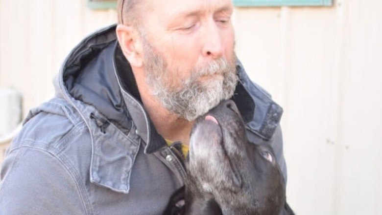 Heartwarming Story of Rescued Dog Named Frosting Touches Hearts Everywhere