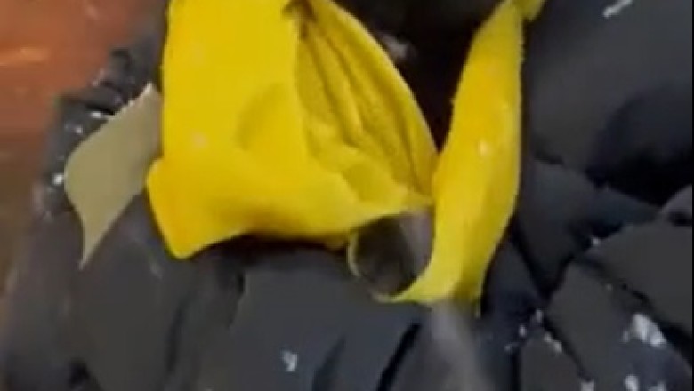 Adorable Cat's Hilarious Encounter with Snow Will Melt Your Heart!