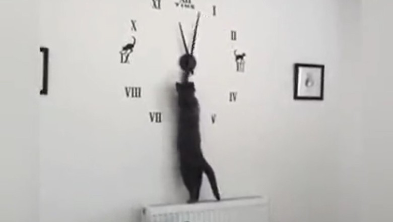Pawsitively Hilarious: Cat Caught Red-Pawed Altering Time on Clock!
