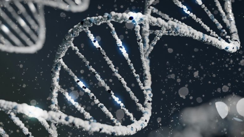 Heartbreaking Discovery: 71-Year-Old Adopted Man Finds Family through DNA Test