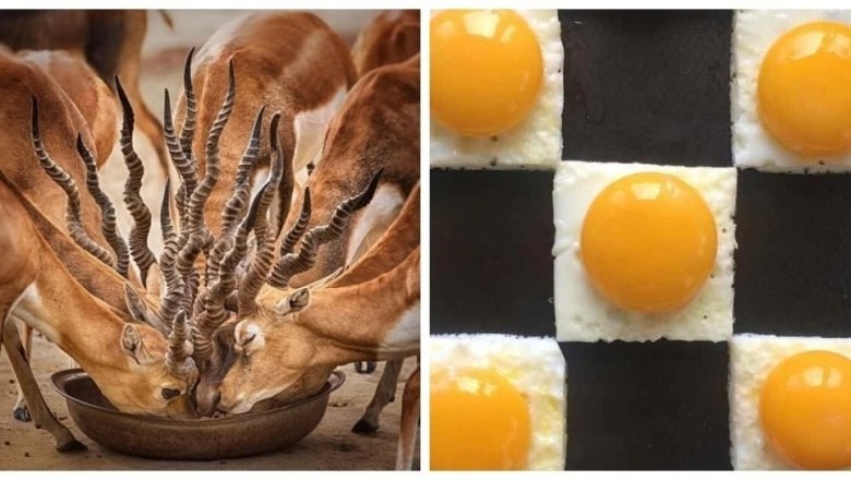 20 Images That Will Satisfy Every Perfectionist's Soul