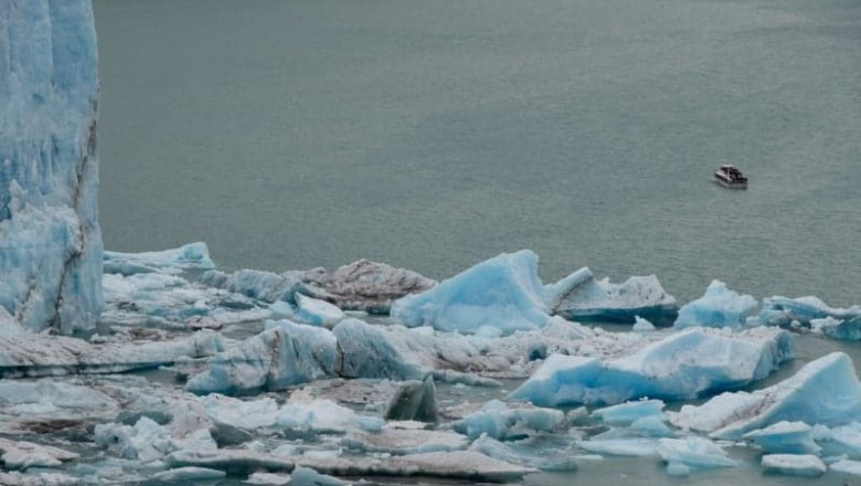 Unbelievable Discovery: Residents Stunned by What They Spot on Drifting Iceberg Near Village