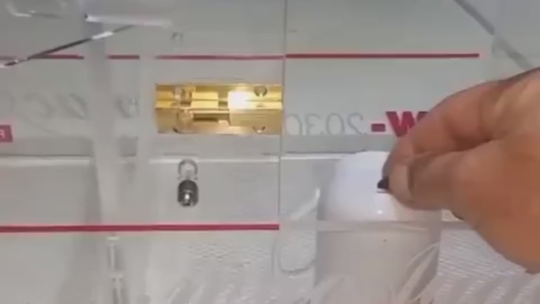 Mind-Blowing Parrot Shatters Expectations with Barrier-Breaking Skills!
