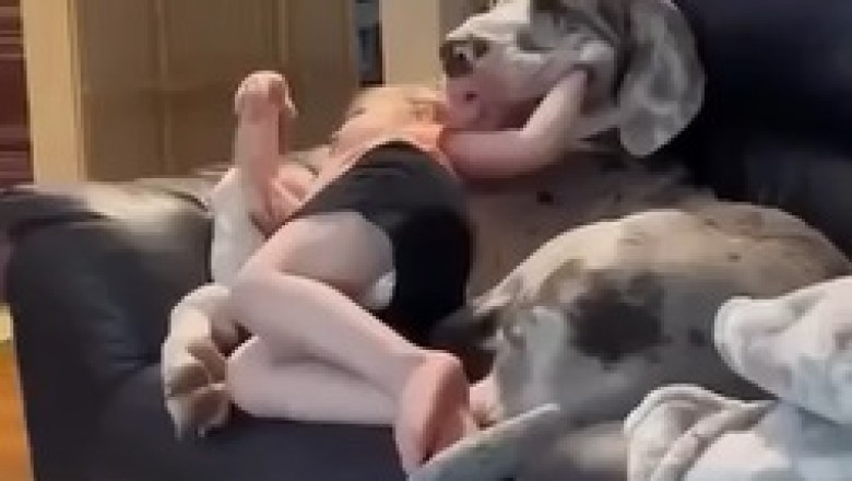 Unbelievably Cute: Hilarious Moments of Children with Pets!