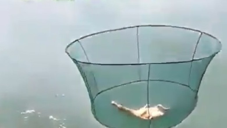Unconventional Fishing Technique: Watch as a Man Catches Fish with a Chicken!
