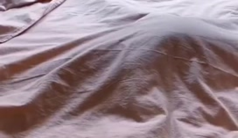 Hilarious Hide-and-Seek Fail: Cat's Misadventures Under the Bed!