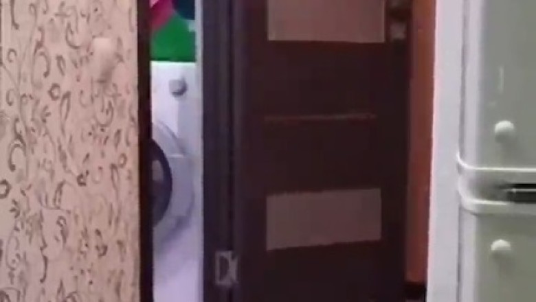The Purrfectly Incredible Feline Feat: Watch in Awe as a Cat Masterfully Opens a Door in a Blink
