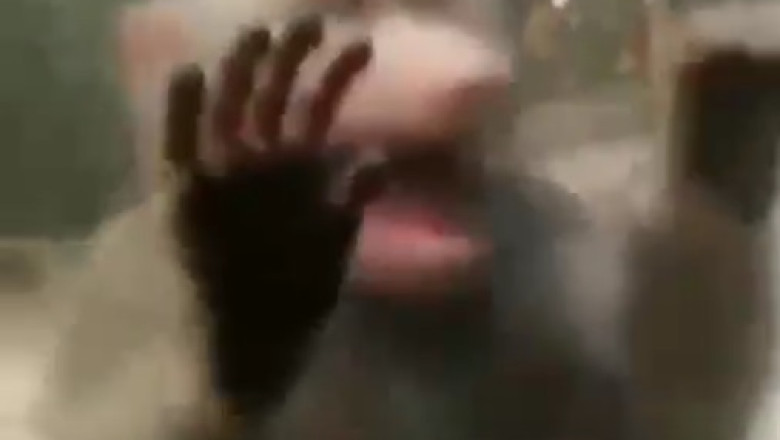 Heartwarming Hijinks: Monkey's Quest for Sympathy Will Melt Your Heart!