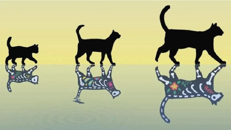 Quantum Cat Experiment Breaks Record by Lasting 1,400 Seconds: A Groundbreaking Achievement in Quantum Physics