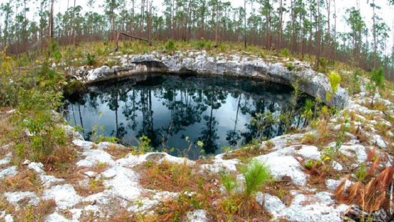 The Secrets of Sawmill Sink: A Blue Hole Holding Ancient Fossils and the Past of Abaco