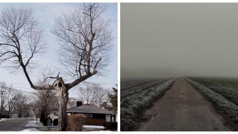 15 Terrifying Images That Will Leave You Questioning Everything!
