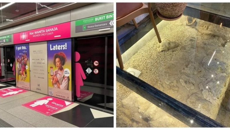 You Won’t Believe These 17 Mind-Blowing Finds from Around the World!