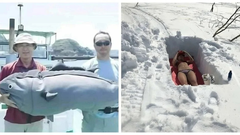 17 Hilarious Images That Prove Humans Are the Strangest Species on Earth