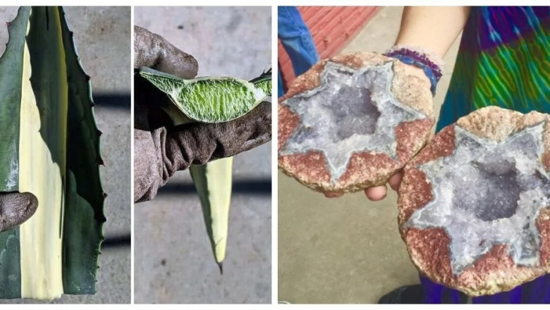 20 Surprising Discoveries Hidden Inside Everyday Objects