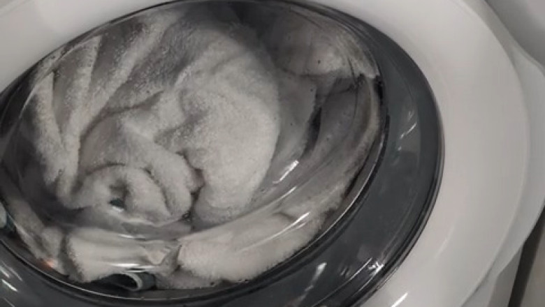 Clean Cat: Watch This Feline Wash Clothes Like a Pro!