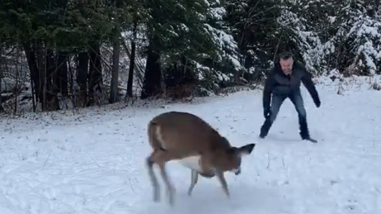 Winter Wonderland: Playing with a Deer in the Snow!