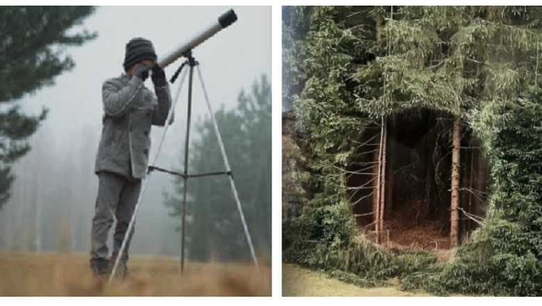The Strange Discovery: Johnny Bush's Terrifying Encounter with the Mysterious Forest Gate