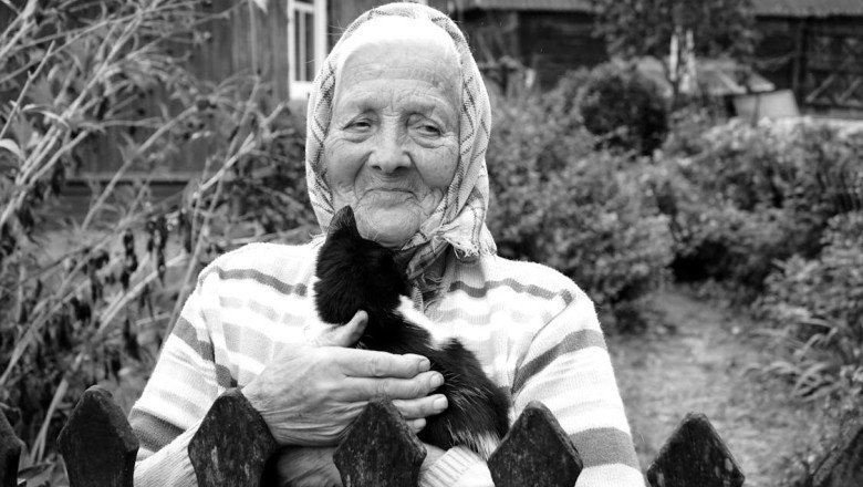 The Unexpected Visitor: When a Simple Act of Kindness Unleashed a Nightmare in My Home!