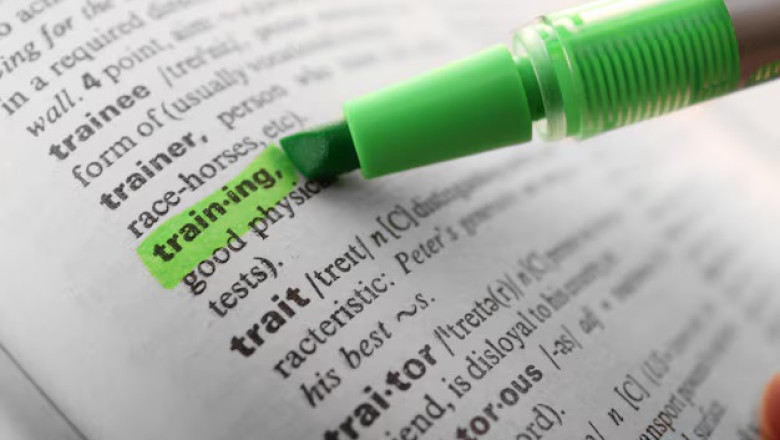 Grammarly: Transforming the Way We Write