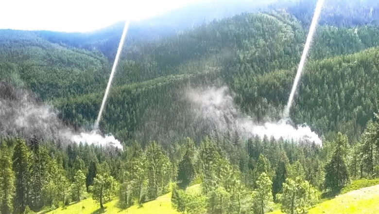 From Crisis to Revival: The Inspiring Journey of a Community Restoring Its Forests