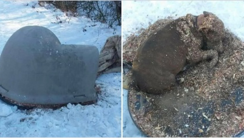 Heartbreaking Reality: Neglecting Pets in Freezing Temperatures Leads to Tragic Consequences