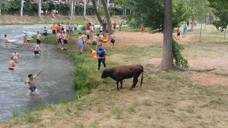 Epic Spanish Bull Run Takes a Wild Turn: Bull Charges into Lake, People Flee!