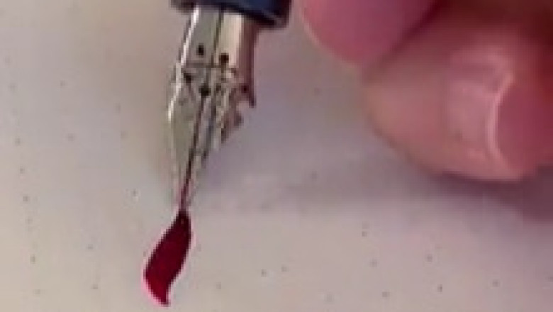 Ink Magic: Watch the Flex Nib Transform Your Writing! ✒️✨