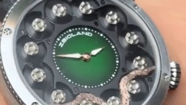 This Snake's Unbelievable Action Will Leave You Speechless! 🐍