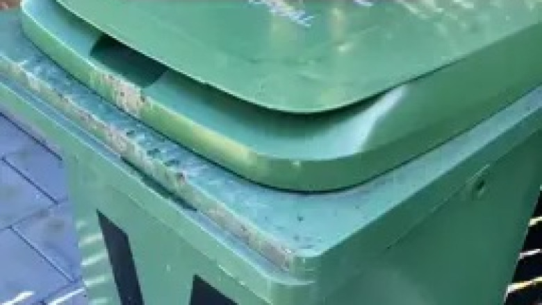 Say Goodbye to Flies in Your Container With This Simple Tip!