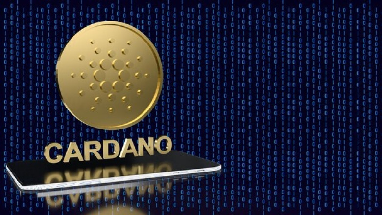 Cardano to Euro: Bridging the Digital Divide in Europe