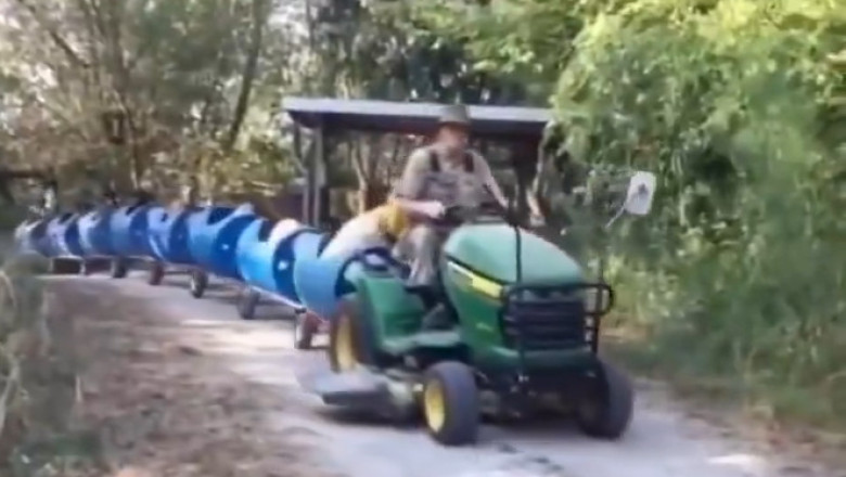Rescue on Rails: 80-Year-Old Retiree Creates a Train for Abandoned Dogs